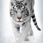 Панель ПВХ Панно 3шт Зимняя сказка тигр 2700*250*9мм