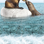 Панель ПВХ Добор 1шт Море тюлени 2700*250*8мм
